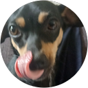 pascal paays profielfoto